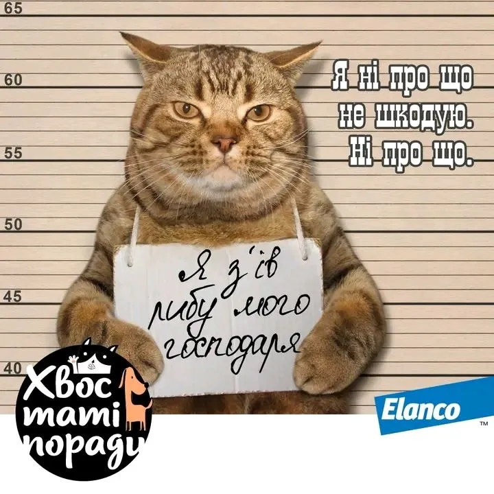 1708723087095.webp