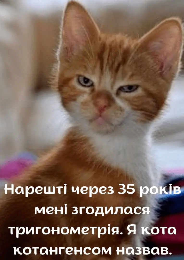 1708860760741.webp