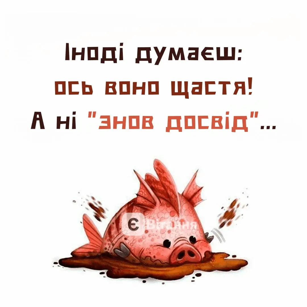 1708892017771.webp