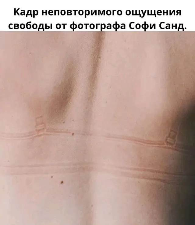 1708933631021.webp