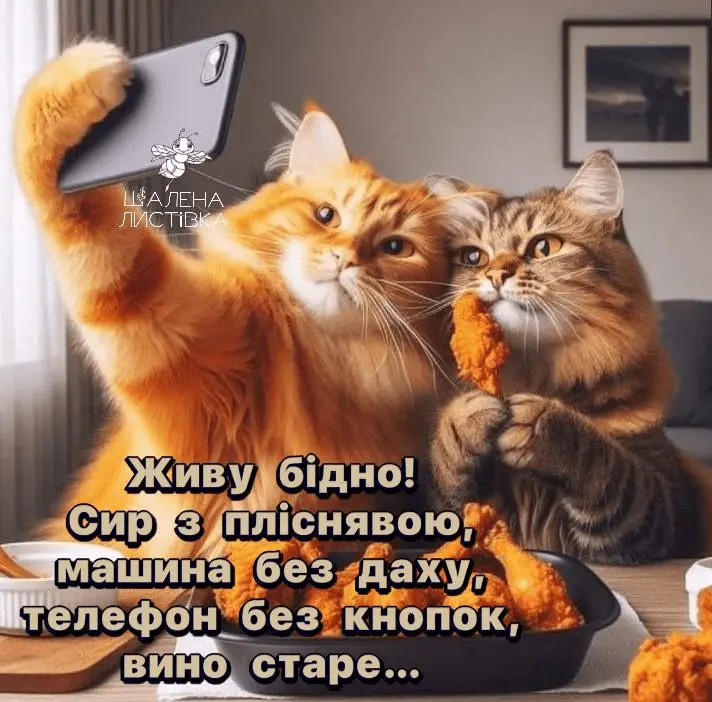 1708973580074.webp