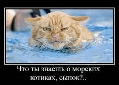 1708976761667.webp
