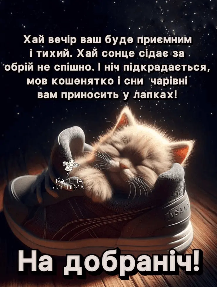 1708977787549.webp