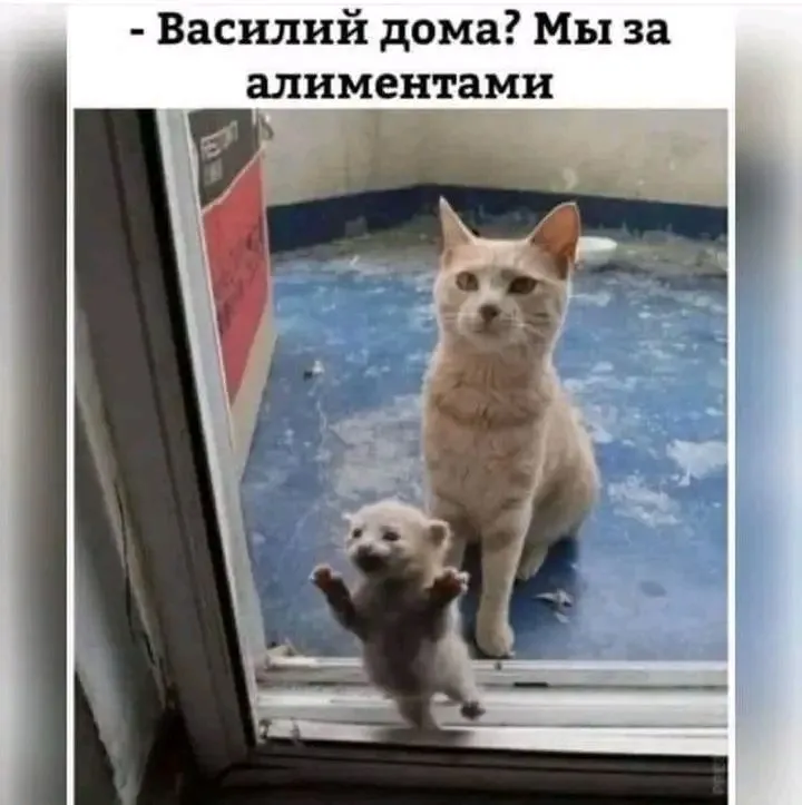 1709205770472.webp