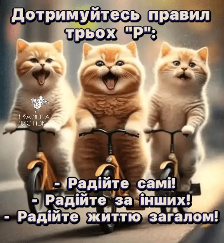 1709232751684.webp