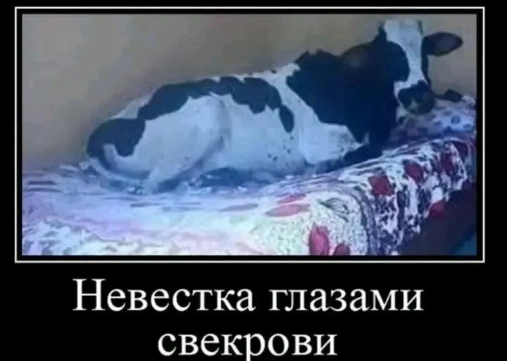 1709277228983.webp