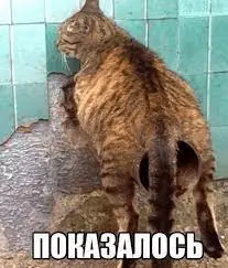 1709287284161.webp