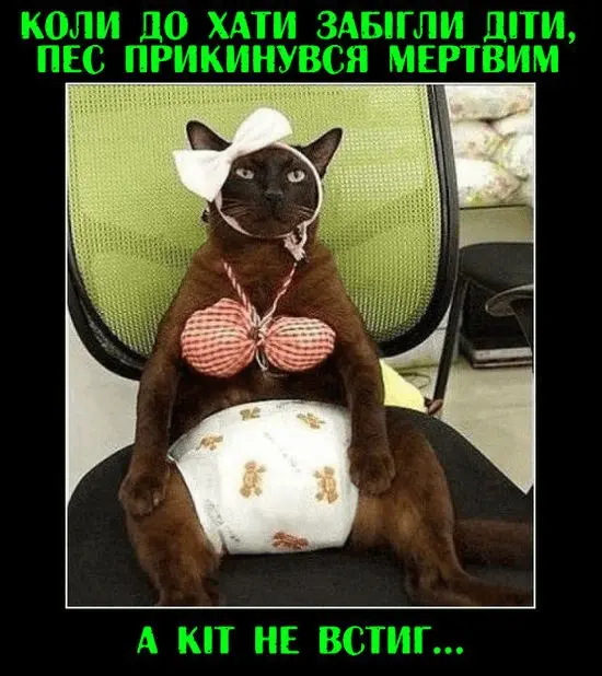 1709287867290.webp