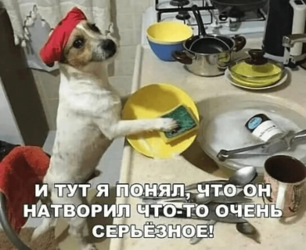 1709316981675.webp