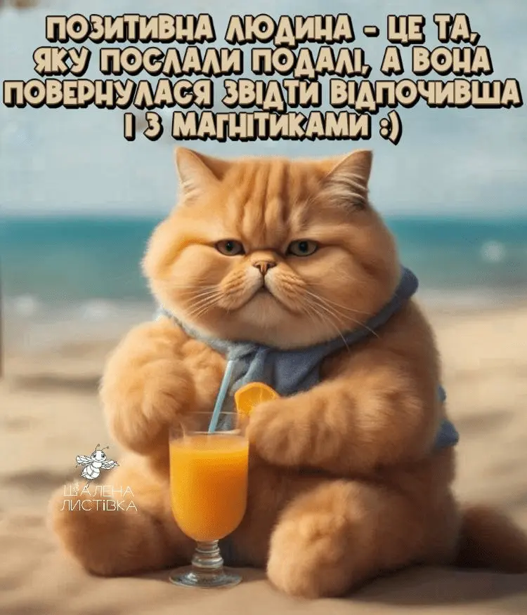 1709317970113.webp