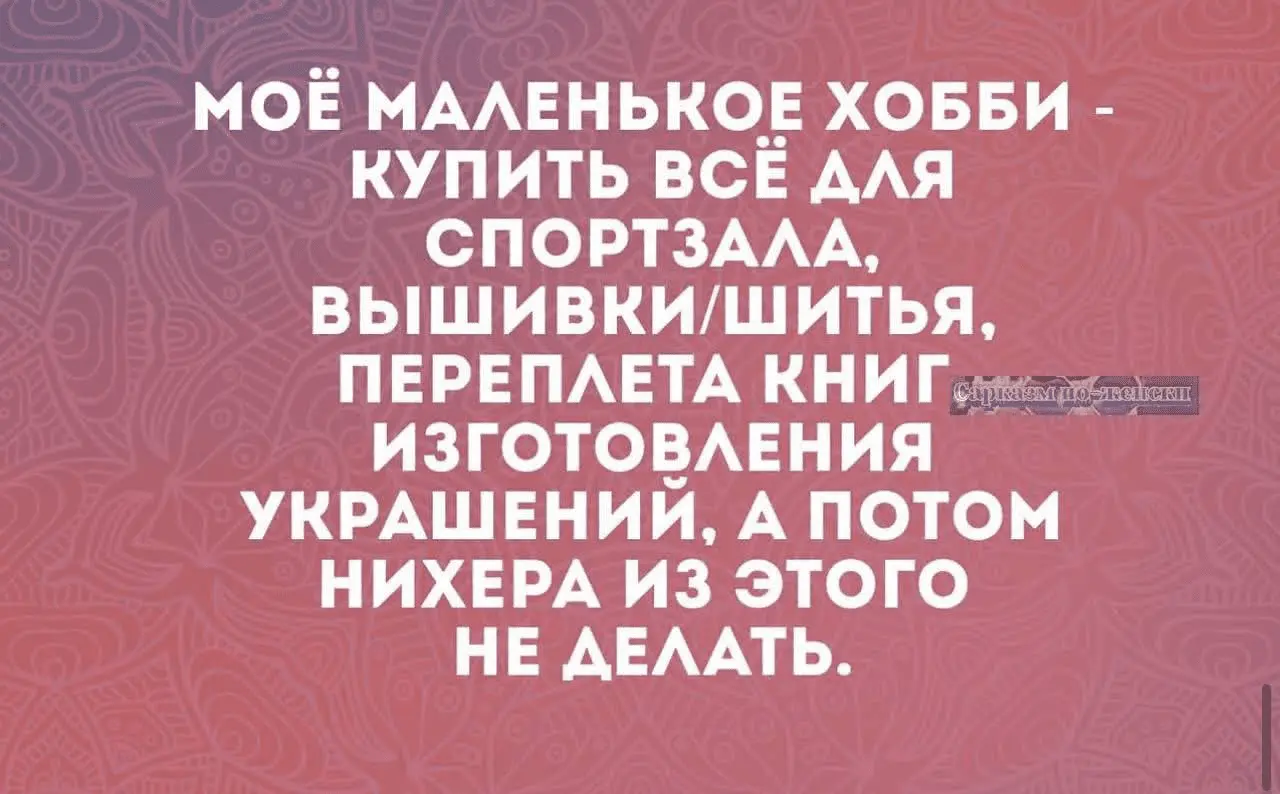 1709377239818.webp