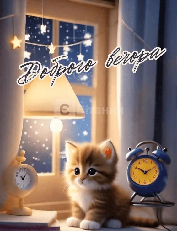 1709407525630.webp