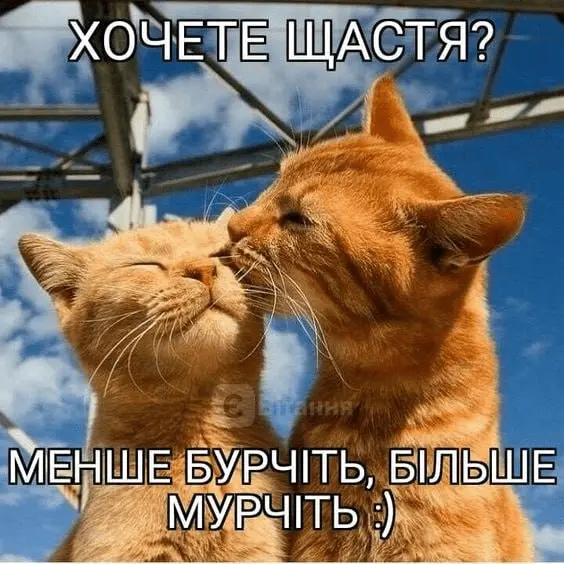 1709454989260.webp