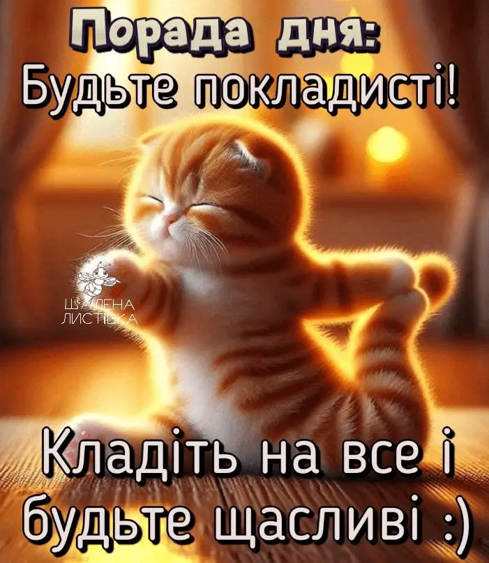 1709493348495.webp