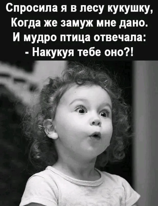1709572086940.webp