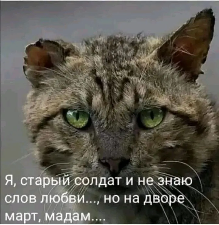1709574120120.webp