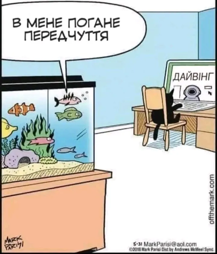 1709580156629.webp
