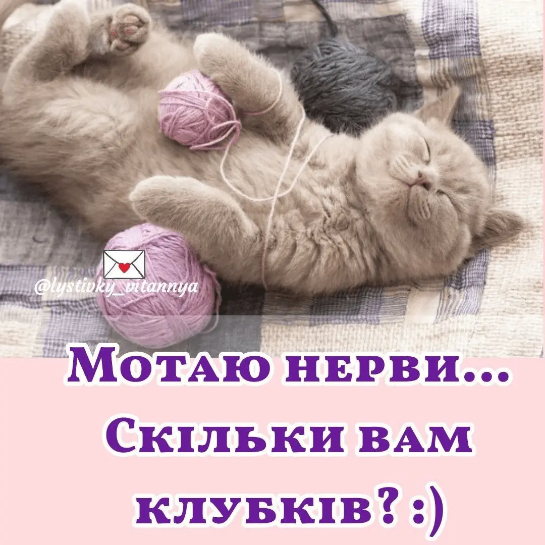1709635132289.webp