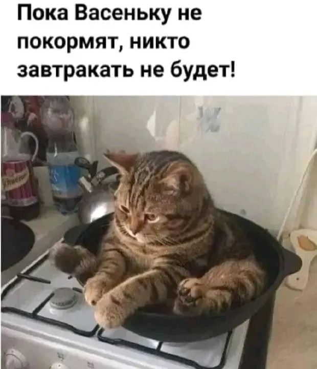 1709647433021.webp