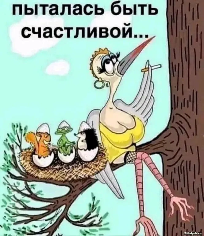 1709647807984.webp
