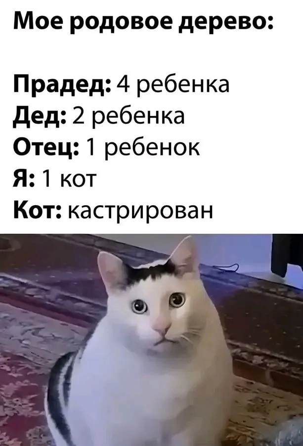1709823052522.webp