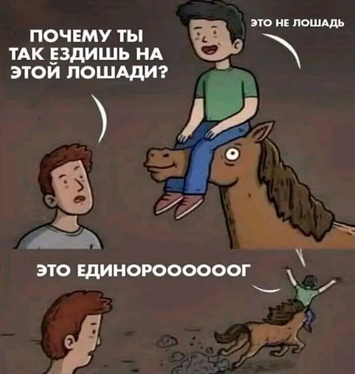 1709827972535.webp