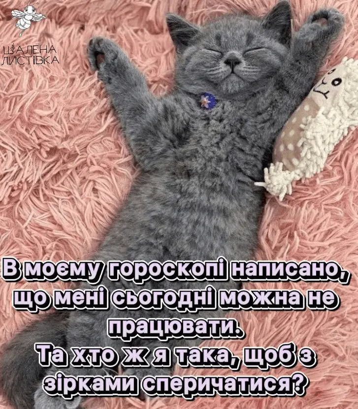 1709838046564.webp