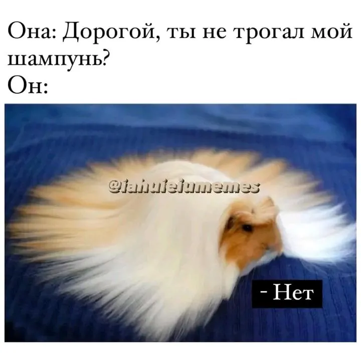 1709902491453.webp