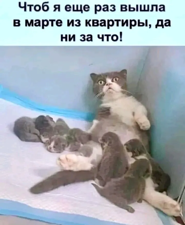 1710071760200.webp