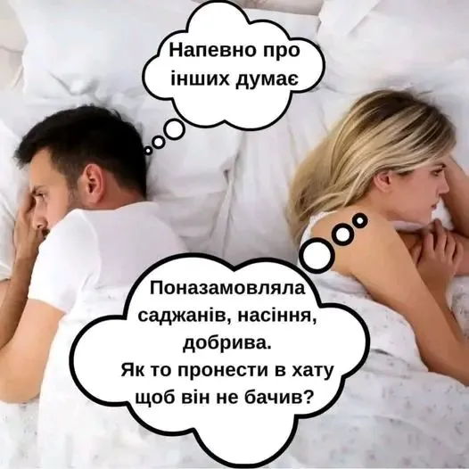 1710163983211.webp