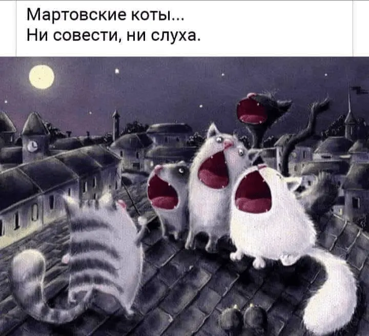 1710223617982.webp
