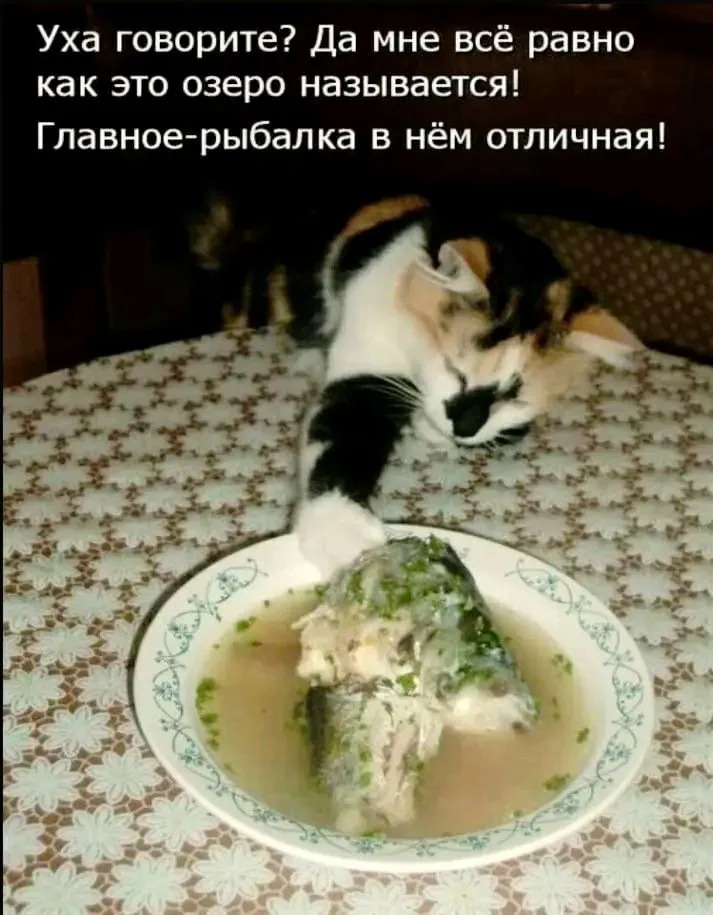 1710236788367.webp