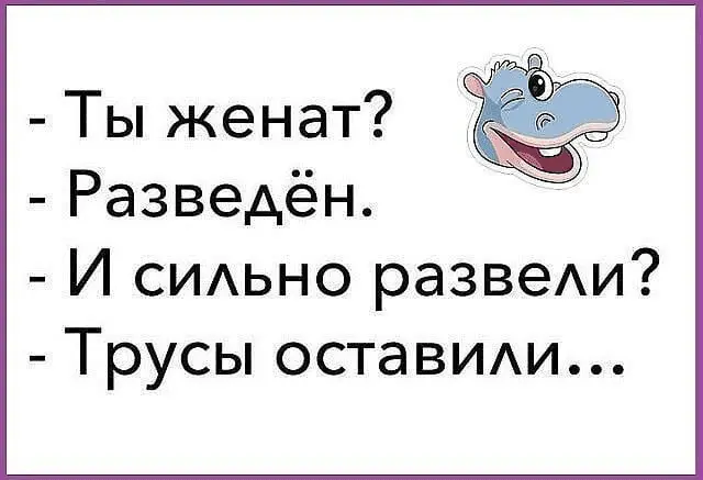 1710240029598.webp