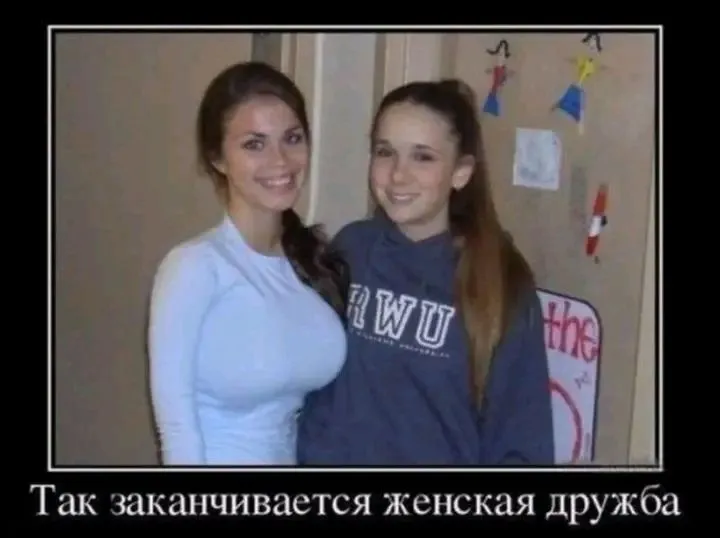 1710250592596.webp