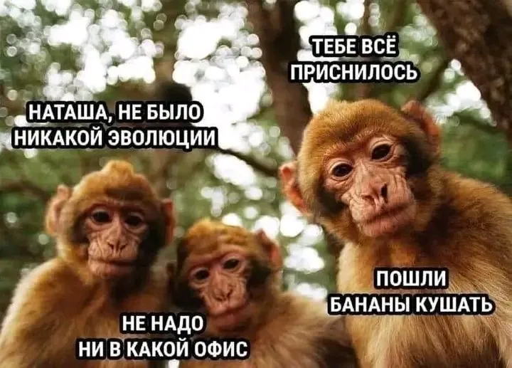 1710251252943.webp