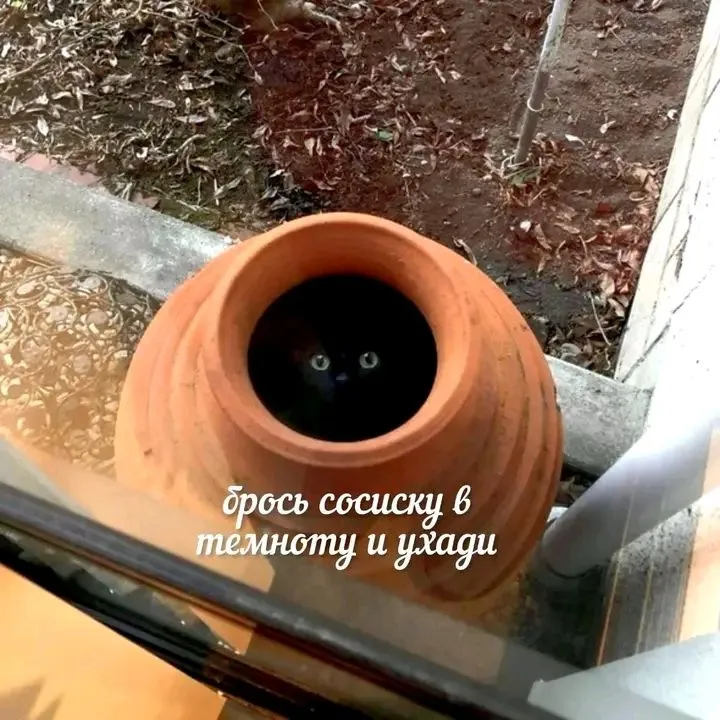 1710251446355.webp