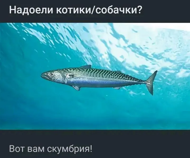 1710319935805.webp