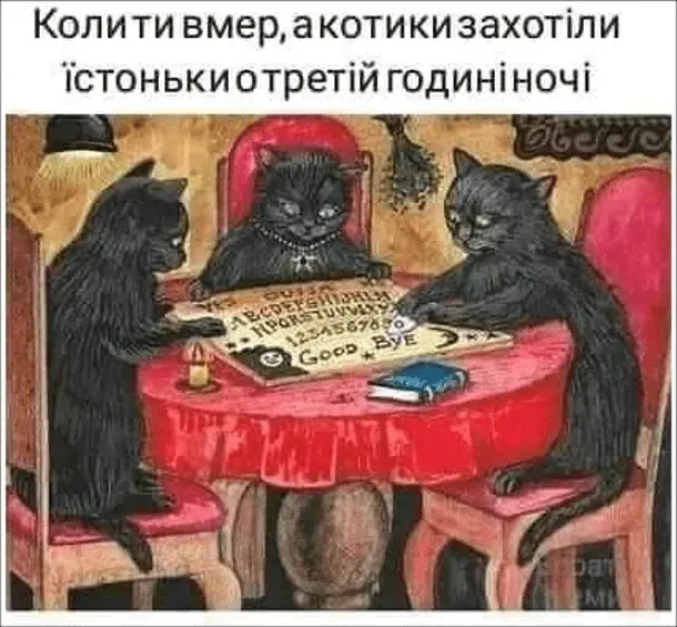 1710320248664.webp