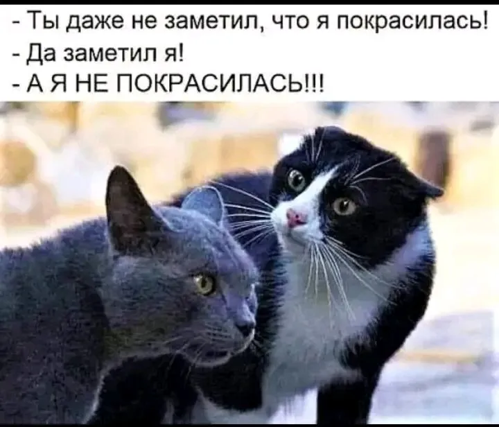 1710341754468.webp