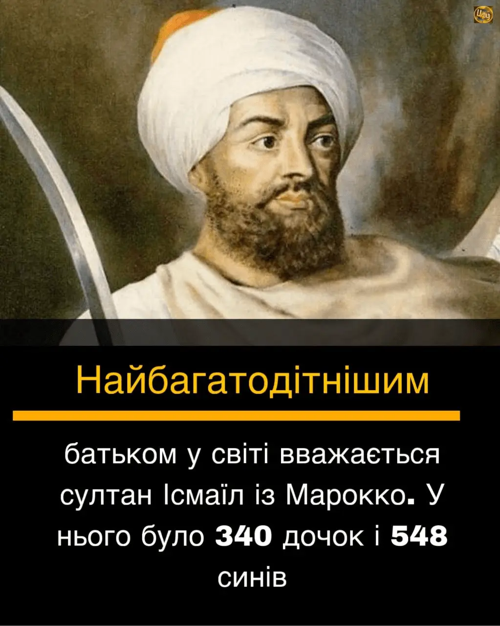 1710440069754.webp