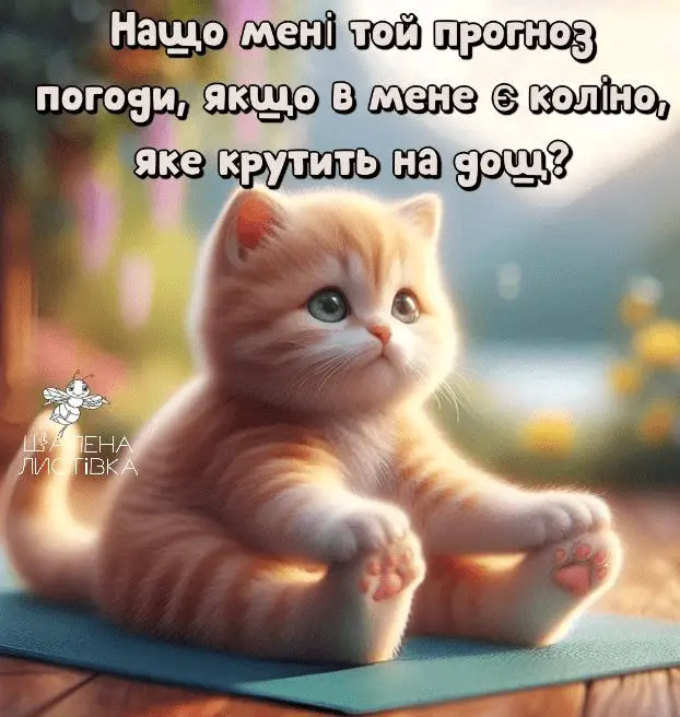 1710444295323.webp