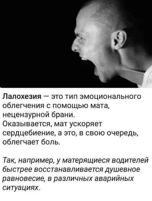 1710489799162.webp