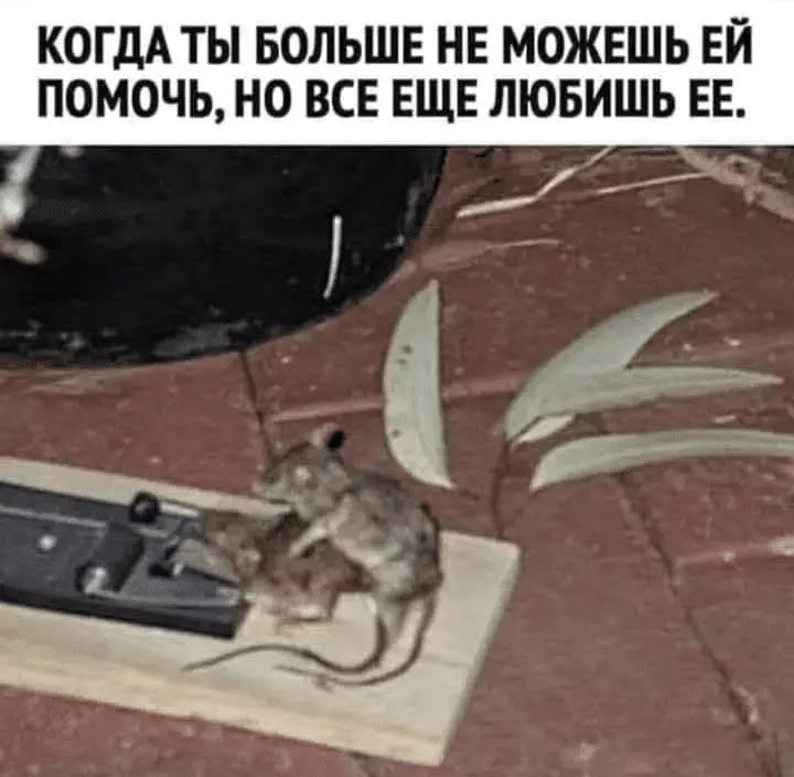 1710511576223.webp
