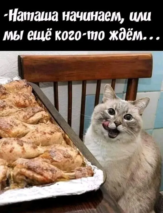 1710533422319.webp