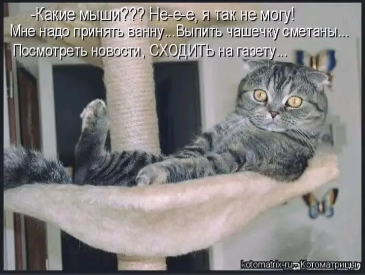 1710682715858.webp