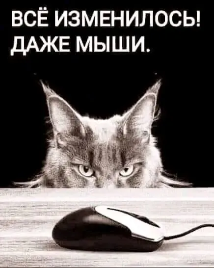 1710690473069.webp