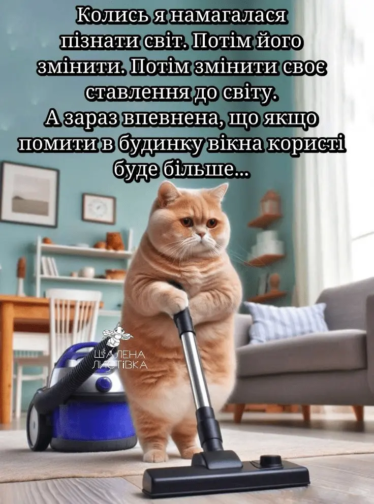 1710694302143.webp