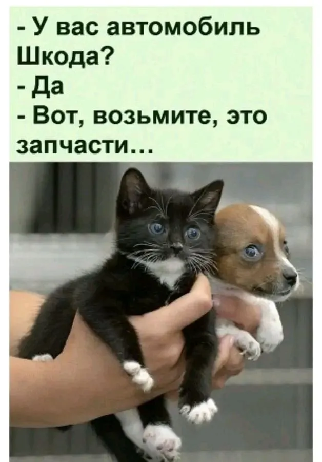 1710701098825.webp