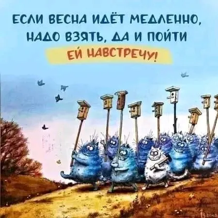 1710710409887.webp