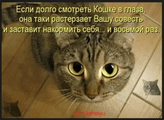 1710757331146.webp